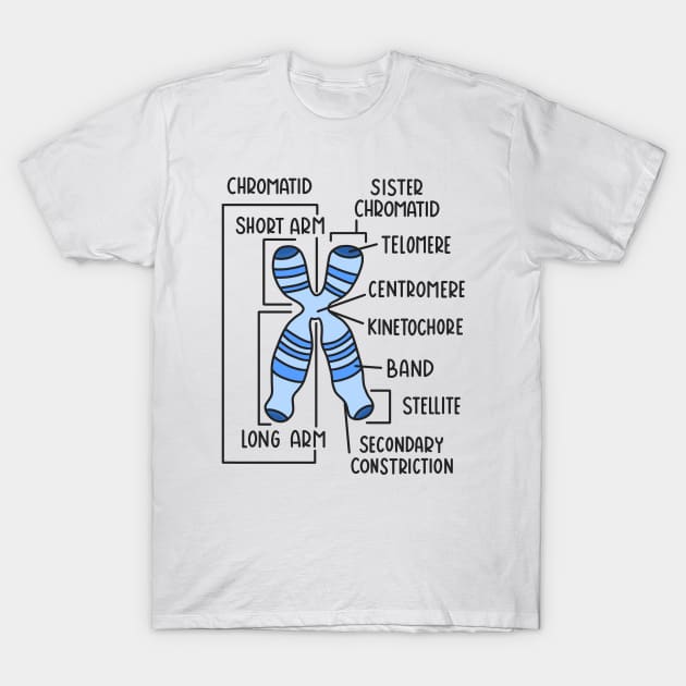 Hand Drawn Chromosome Labeled T-Shirt by Sofia Sava